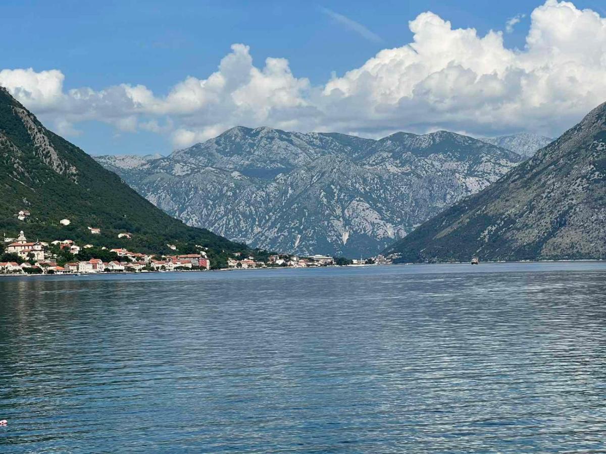 Sea Front 171 Leilighet Kotor Eksteriør bilde