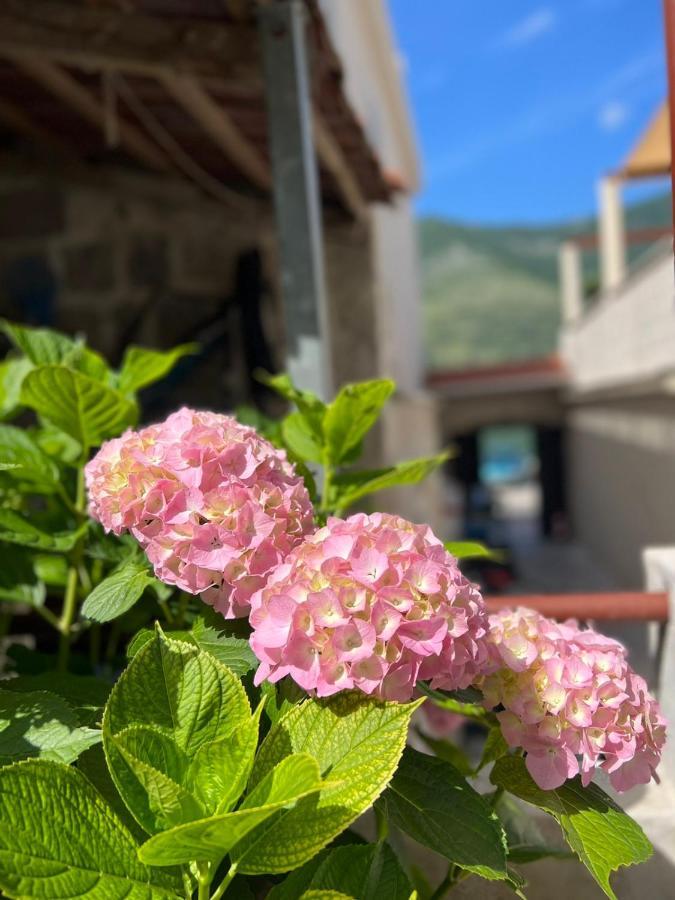 Sea Front 171 Leilighet Kotor Eksteriør bilde