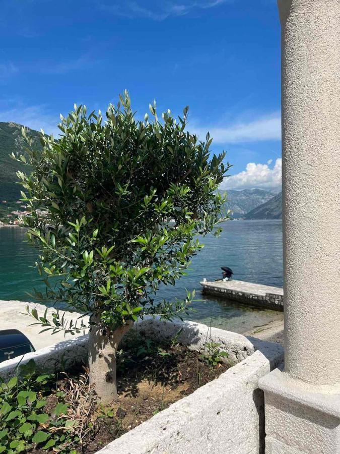 Sea Front 171 Leilighet Kotor Eksteriør bilde
